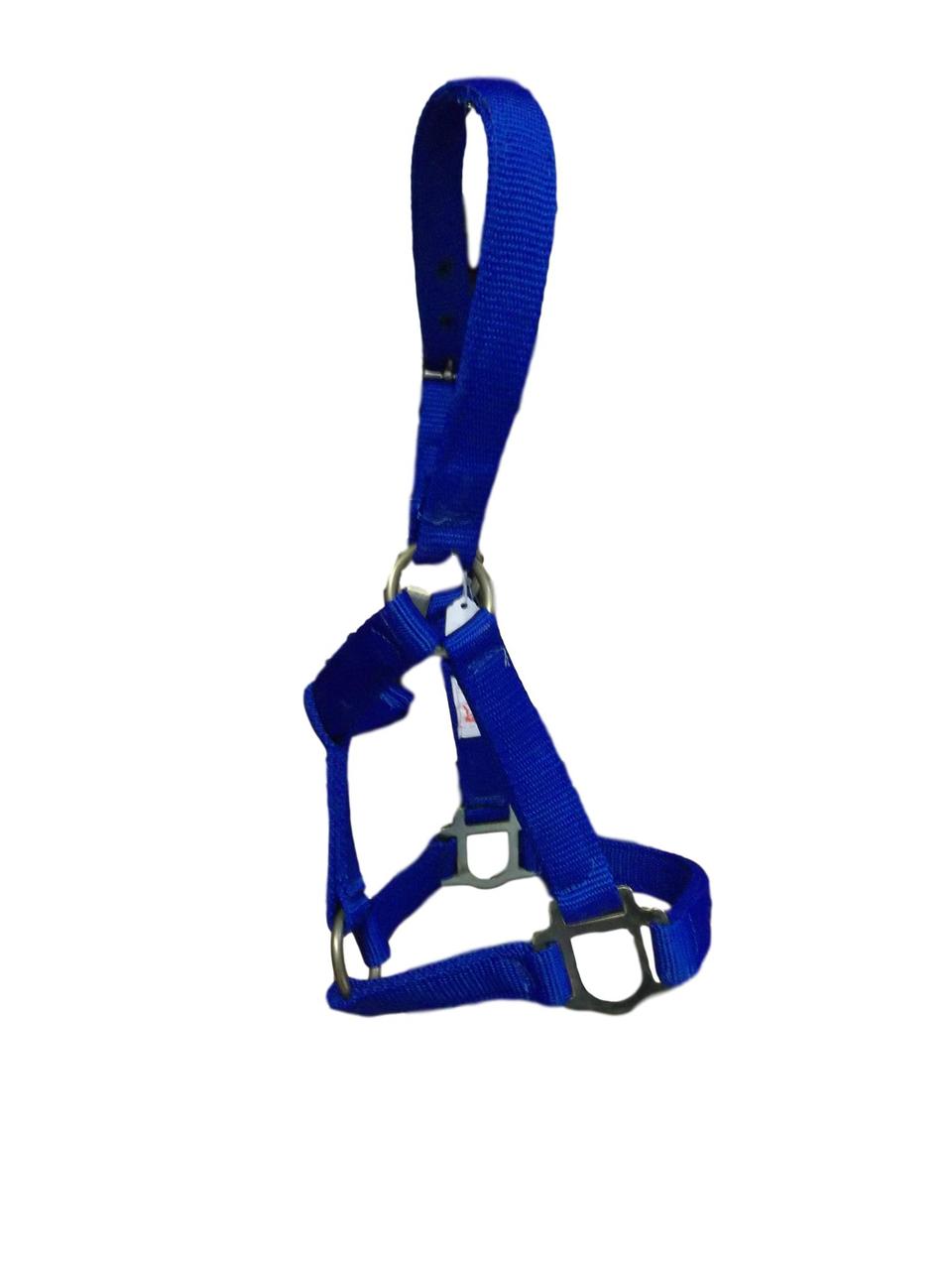 Assorted Pony Halters