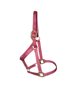 Nylon Foal/Colt Halter
