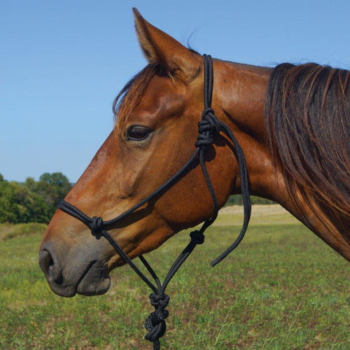 Poly Rope Halter w/8' Lead
