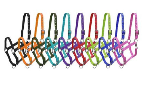 3ply Nylon Horse Halter