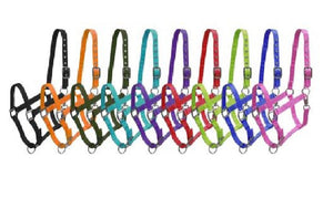 3ply Nylon Horse Halter