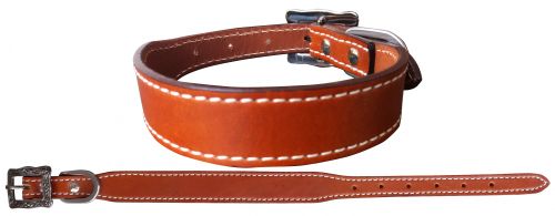 Leather Dog Collar