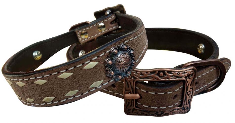 Rough Out Leather Dog Collar With Buckstitch and Conchos
