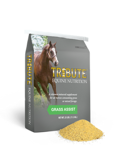 Grass Assist Vitamin  9206GRAS