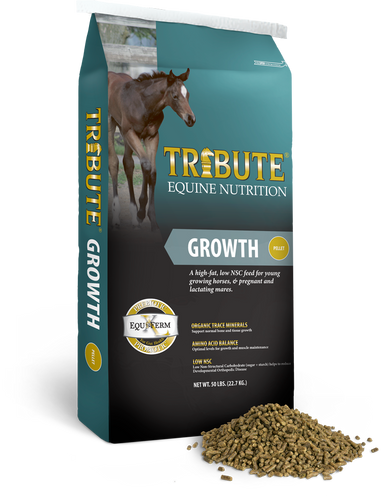 Growth Pellet    916P