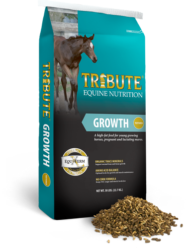 Growth Textured      T916GRO