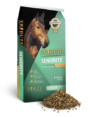 Seniority T912ST