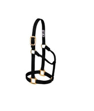 Load image into Gallery viewer, Nylon Small Horse Halter