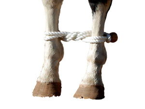 Martin Saddlery Western Tack Training Horse Rope Hobble