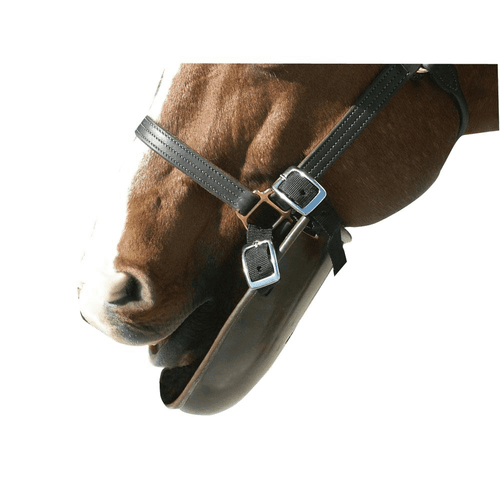 Equine Plastic Bib