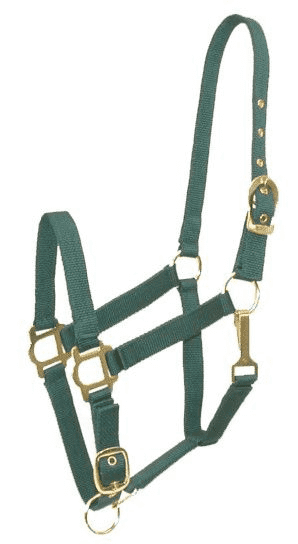 Gatsby Adjustable Nylon Halter W/Snap