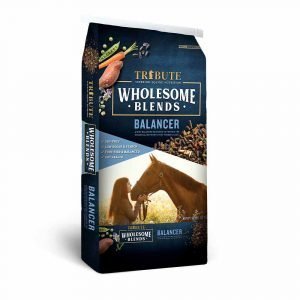 Wholesome Blends® Balancer